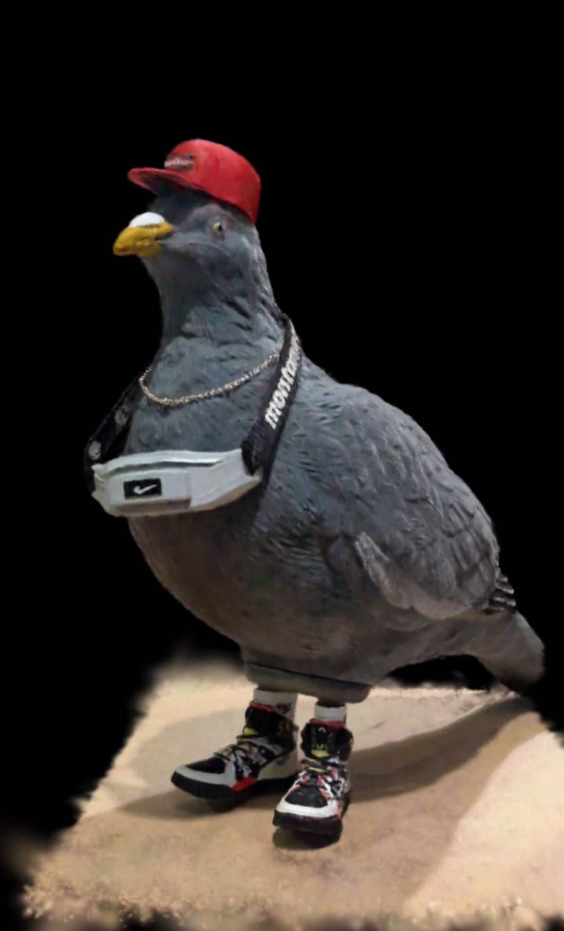 CUTTER City King Bird