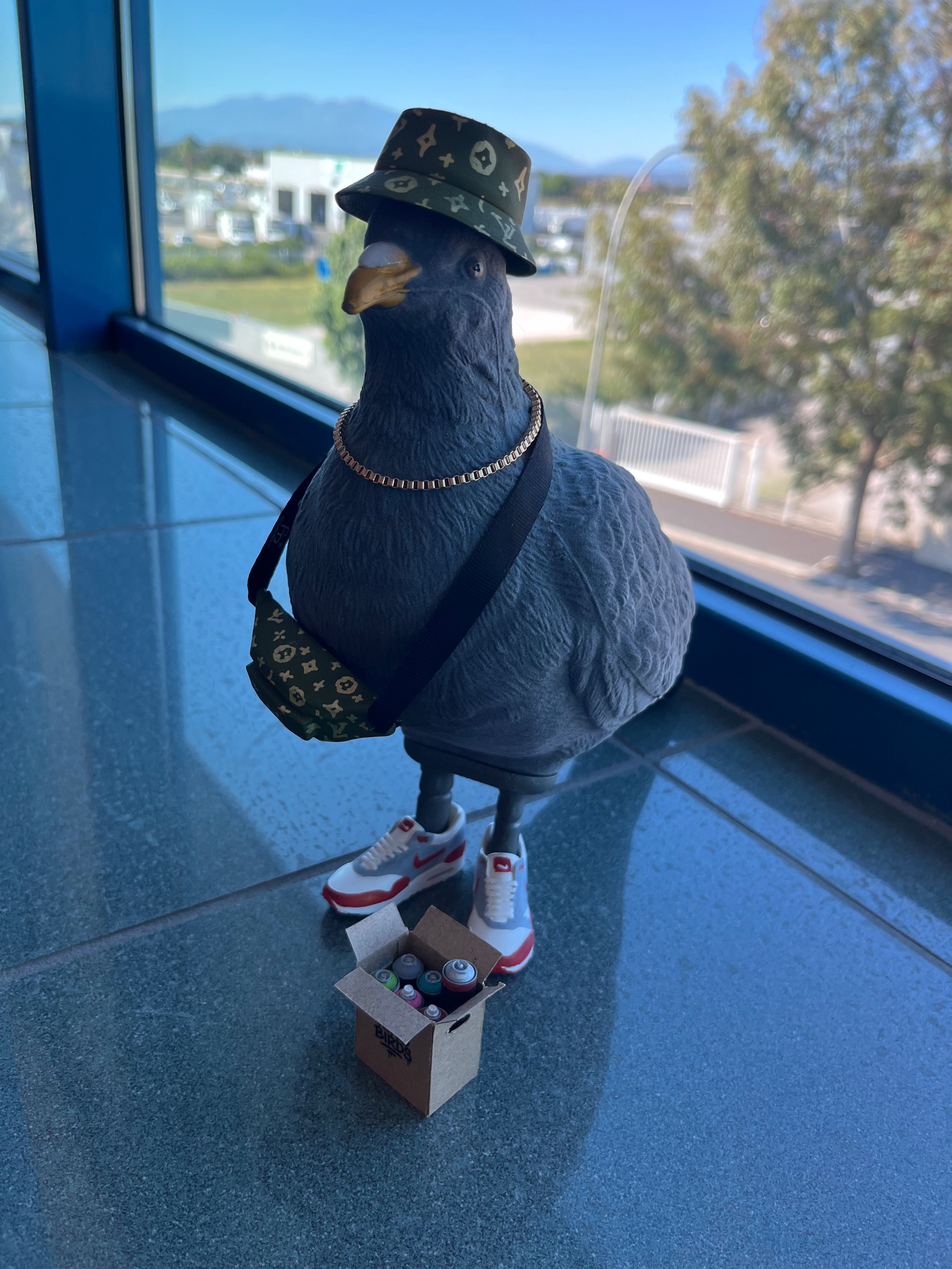 City King Bird « Louispigeon »